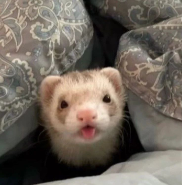 온싱이